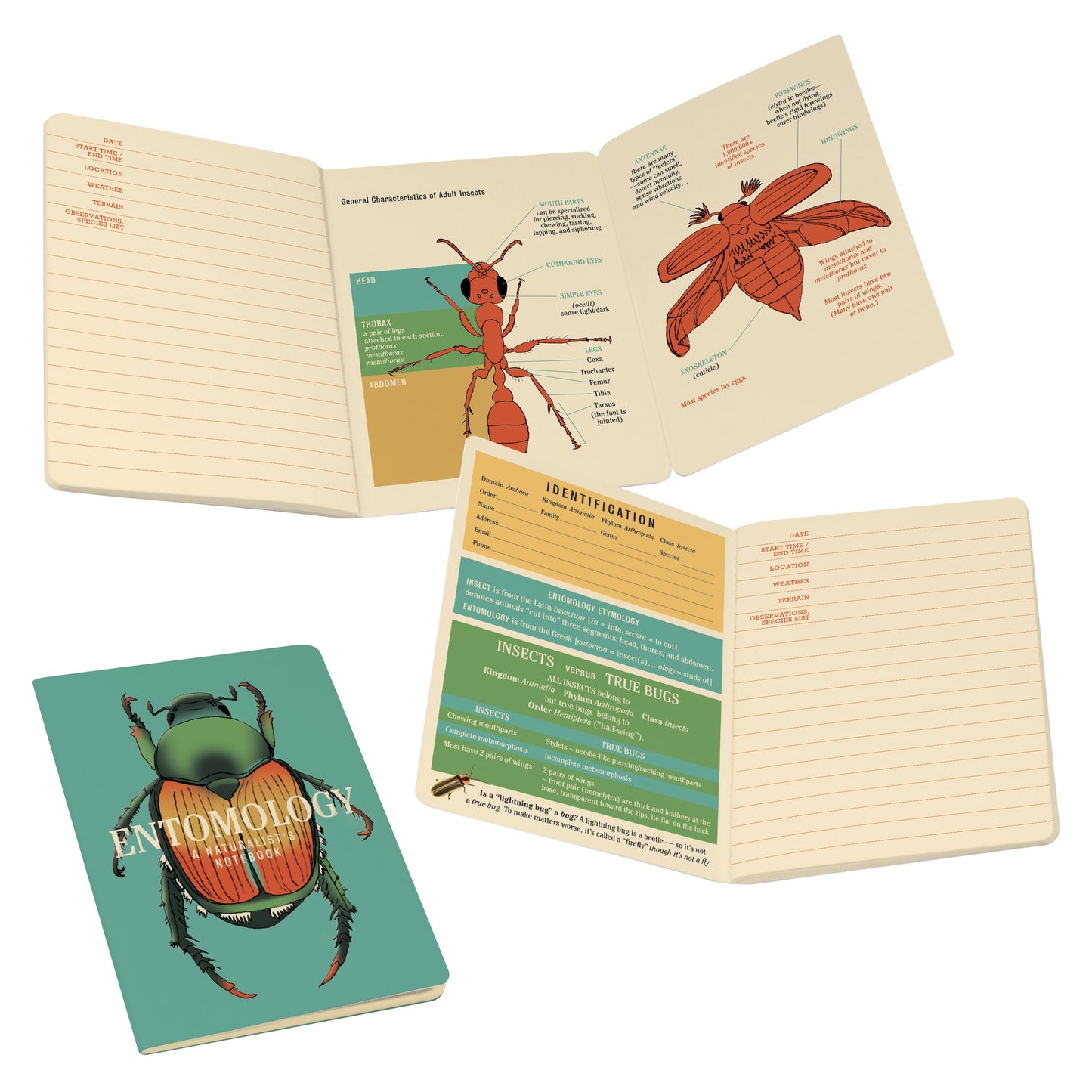 Entomology: A Naturalist's Notebook