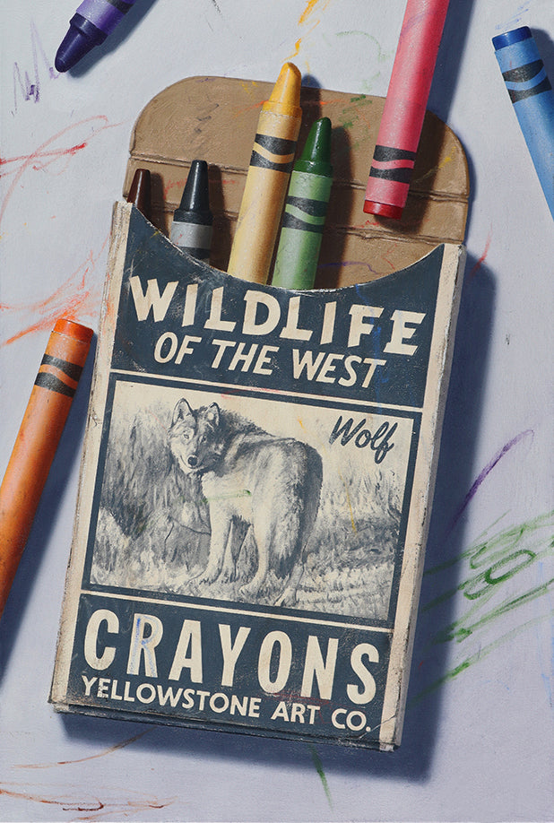 Wildlife Postcards 6 Pack